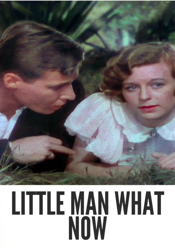Little Man, What Now? (1934) Colorized